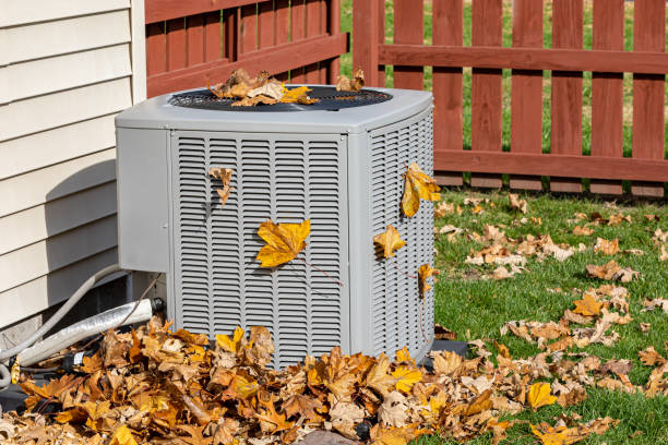 Best Energy-efficient HVAC Solutions in Elbow Lake, MN
